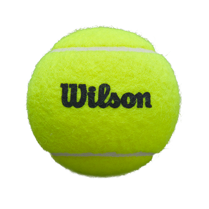 Pelota de Padel Premier X3