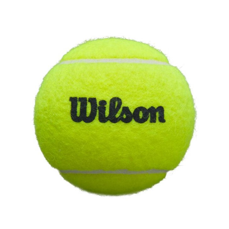 Pelota de Padel Premier X3
