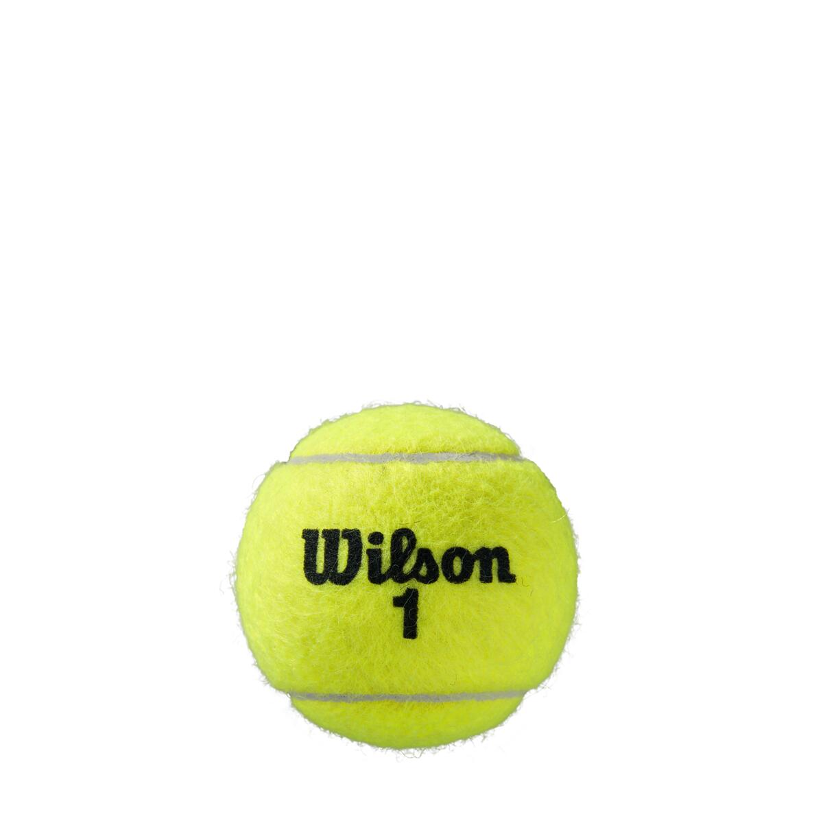 Roland Garros Clay 3 Ball (Edición especial ARG OPEN)