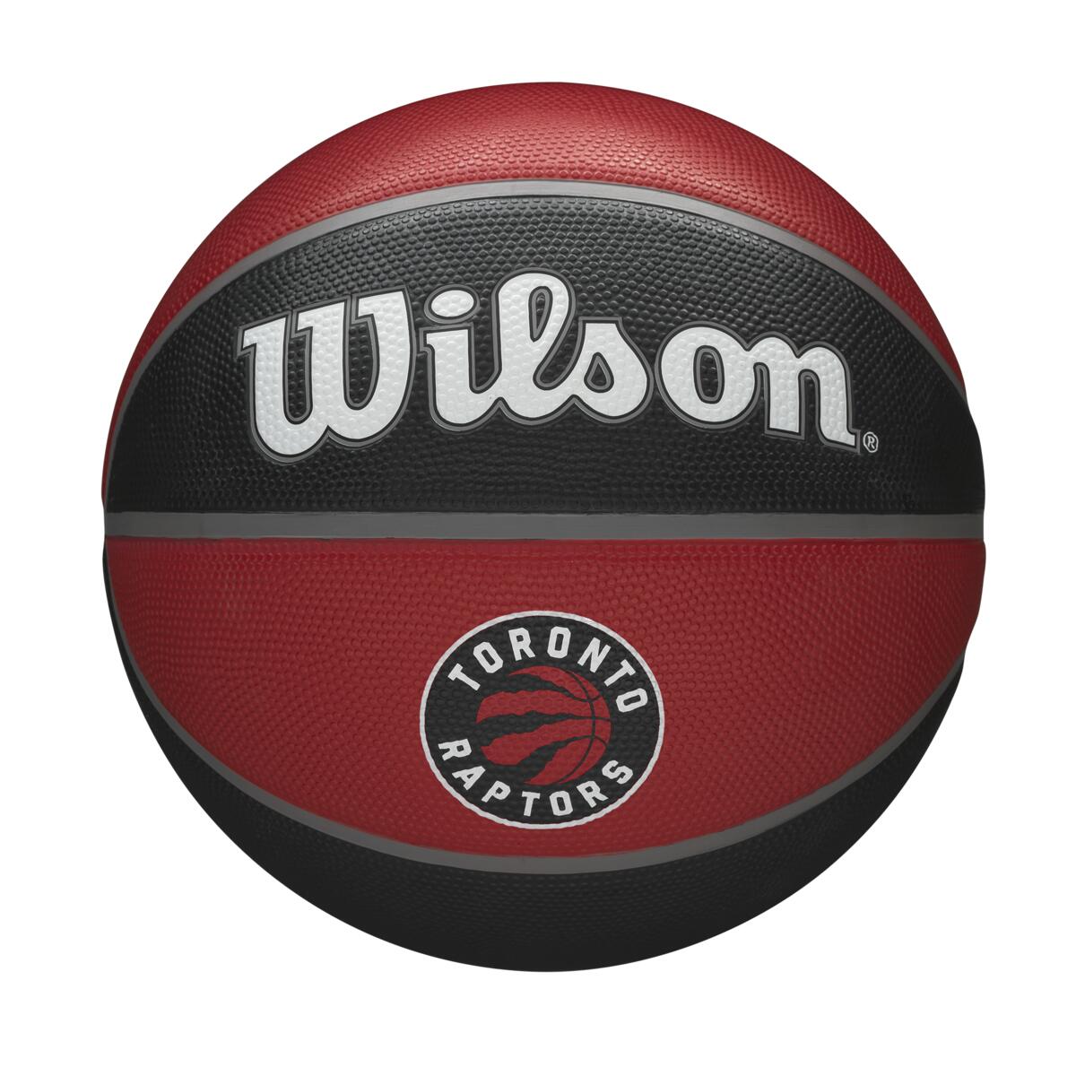 NBA Team Tribute Toronto Raptors