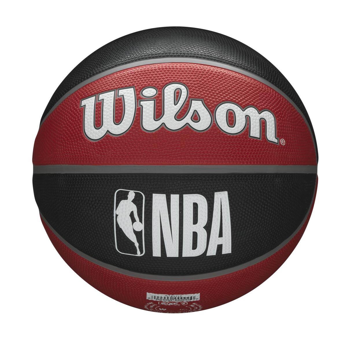 NBA Team Tribute Toronto Raptors