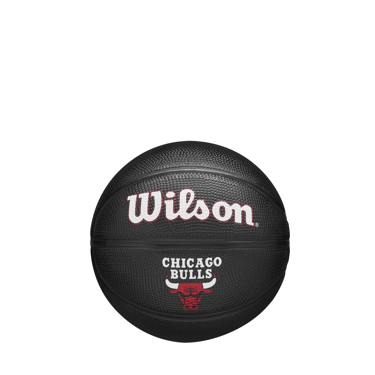 NBA Team Tribute Mini Chi Bulls