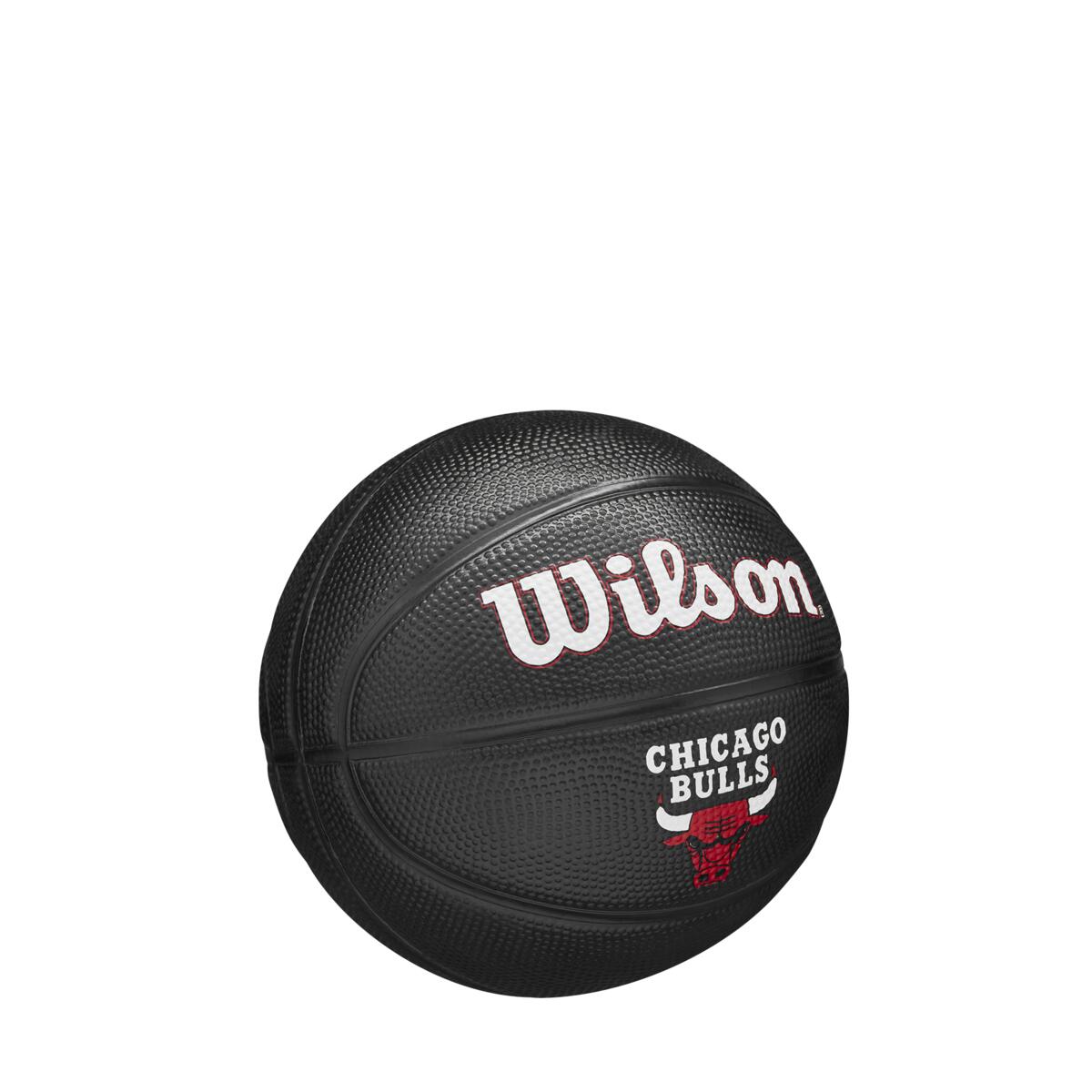 NBA Team Tribute Mini Chi Bulls