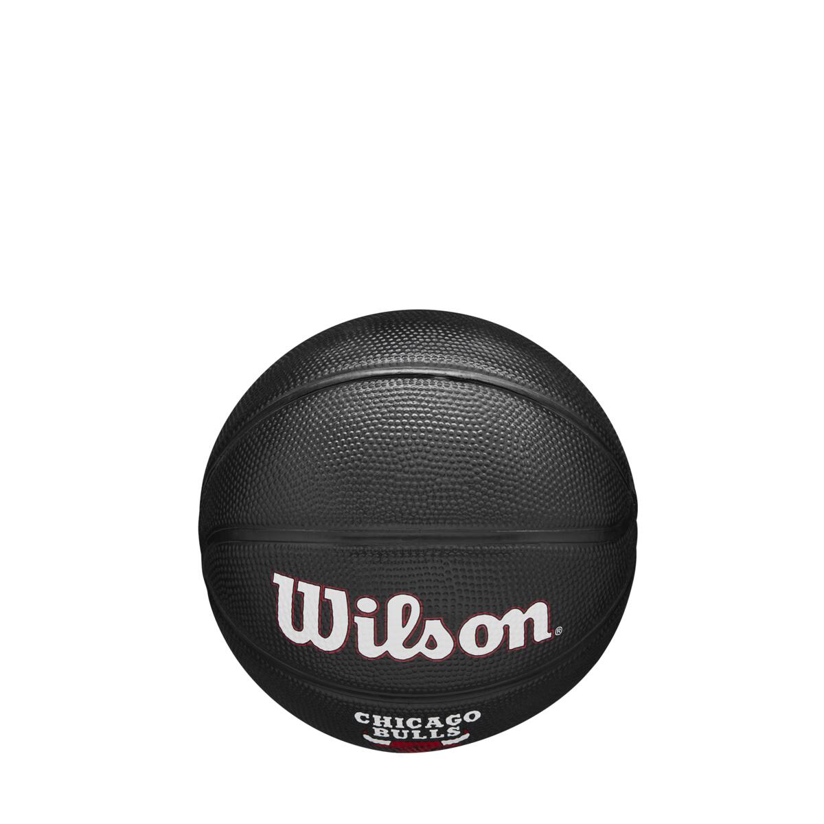 NBA Team Tribute Mini Chi Bulls