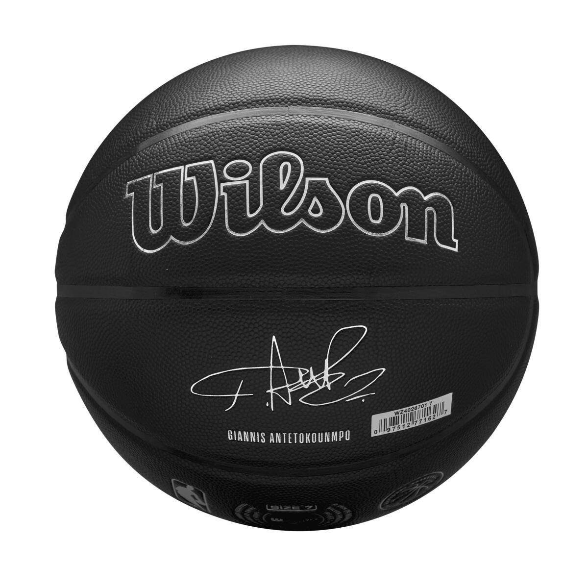 NBA Player Evergreen Giannis 7