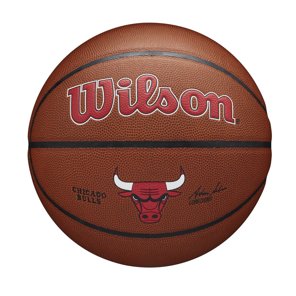 NBA Team Alliance Bulls 7