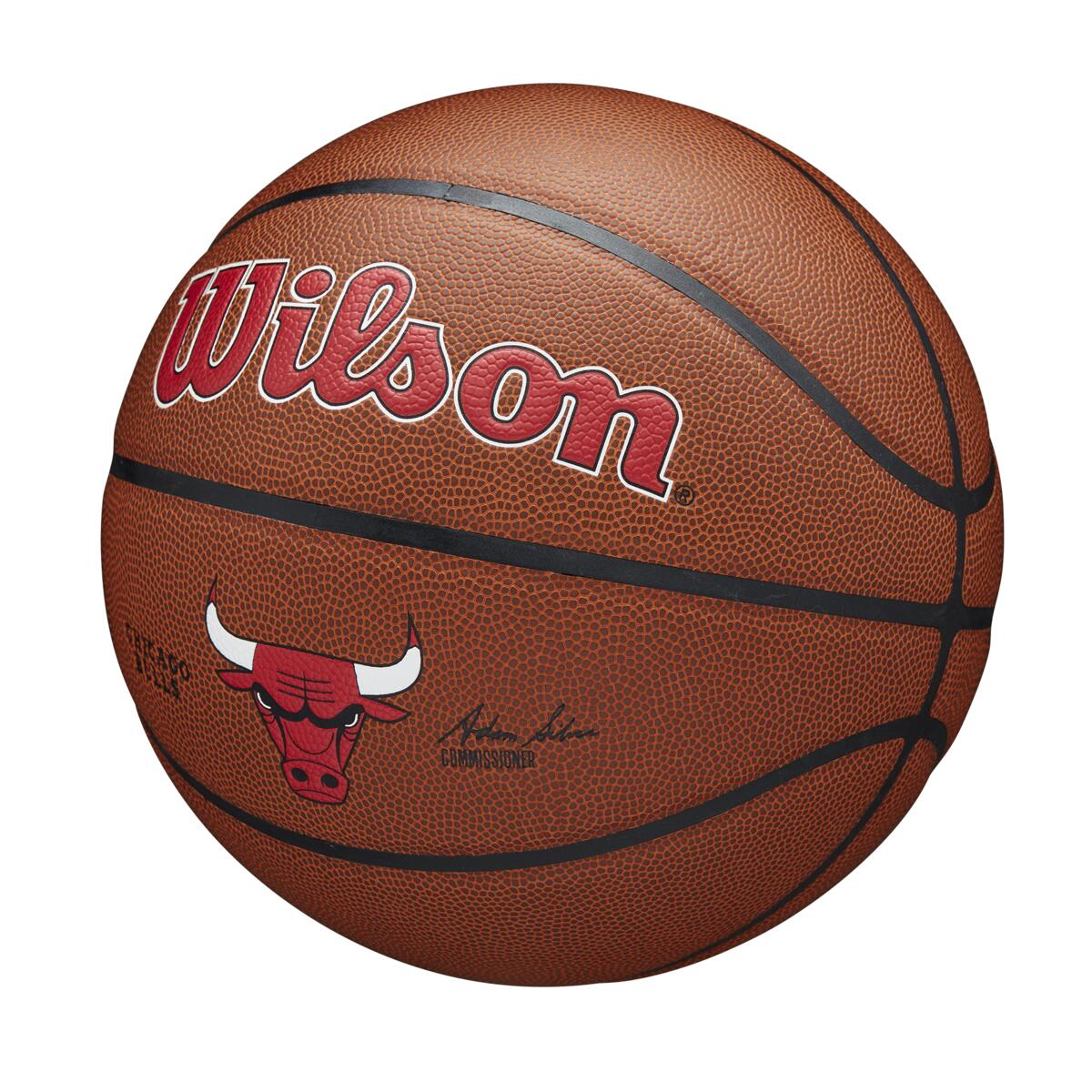 NBA Team Alliance Bulls 7