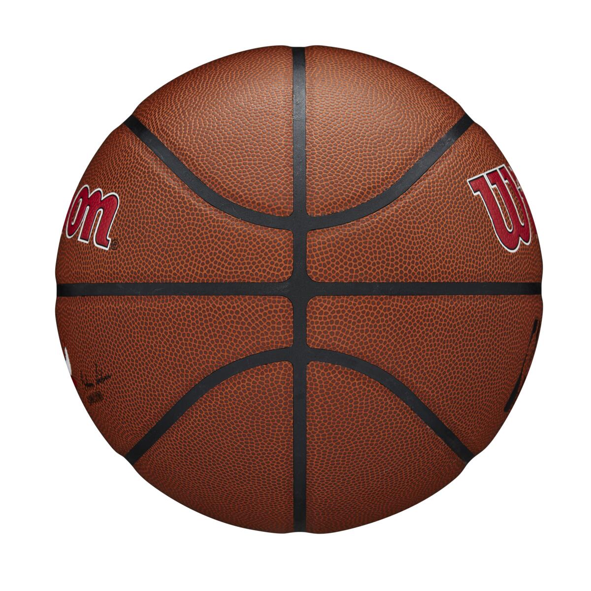 NBA Team Alliance Bulls 7