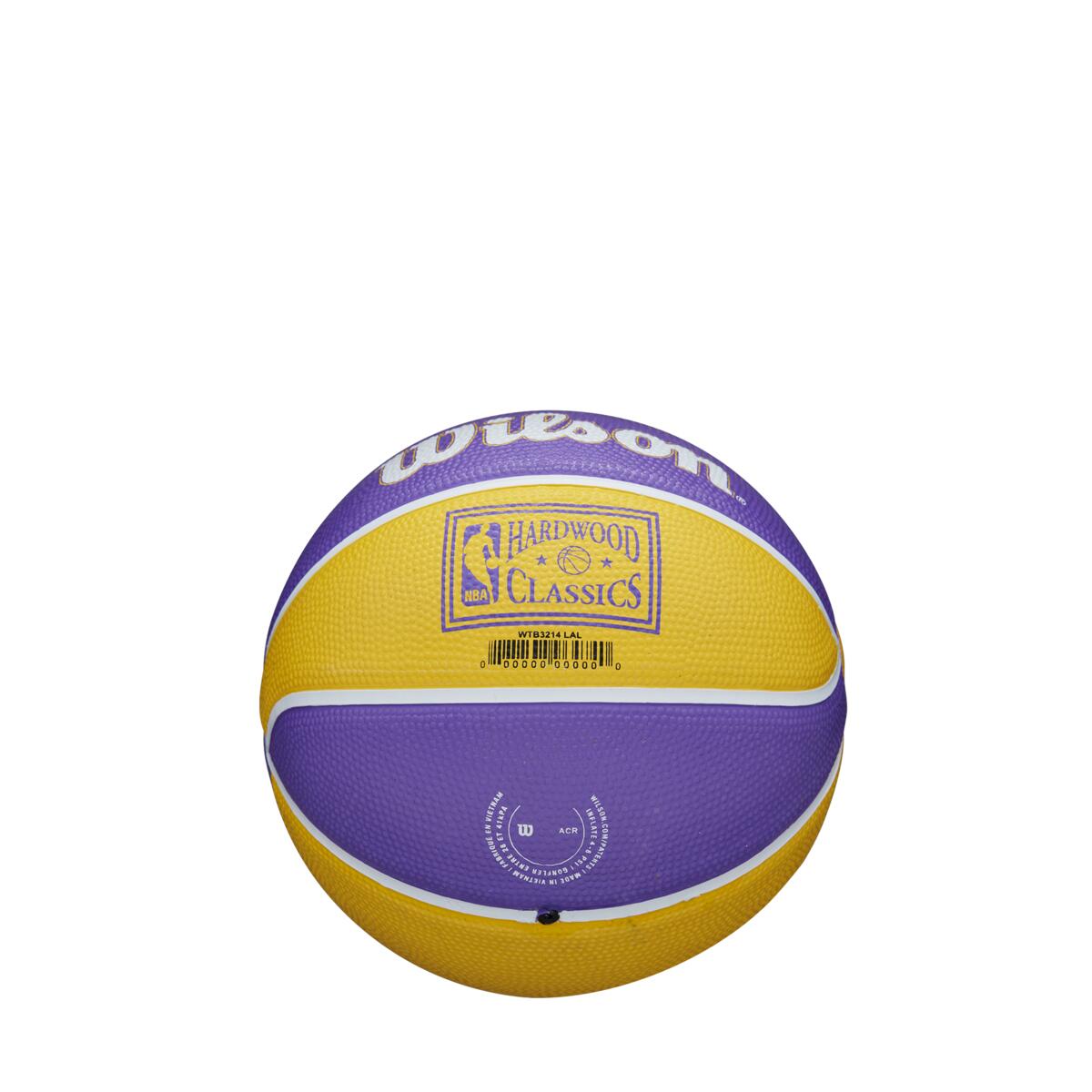 NBA Team Retro Mini