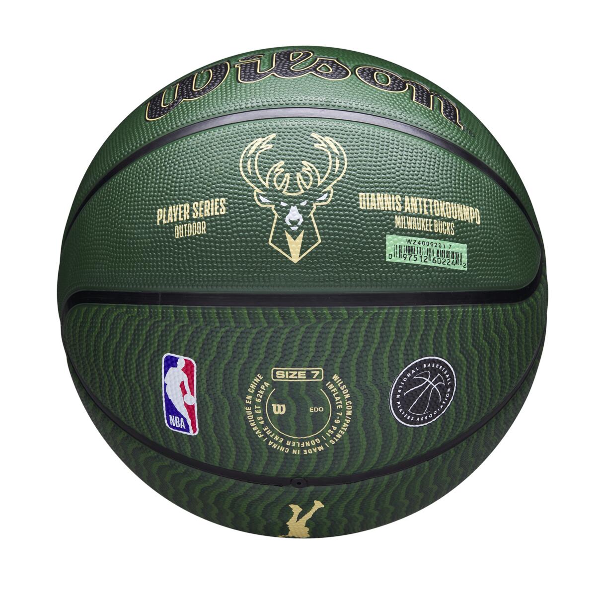 NBA Player Icon Outdoor Giannis 7