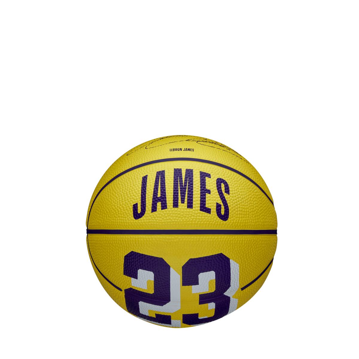 NBA Player Icon James Lebron