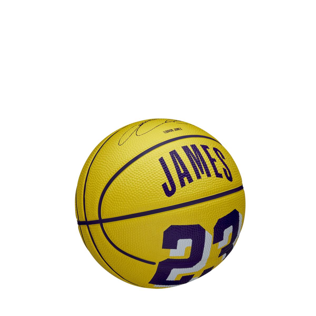 NBA Player Icon James Lebron