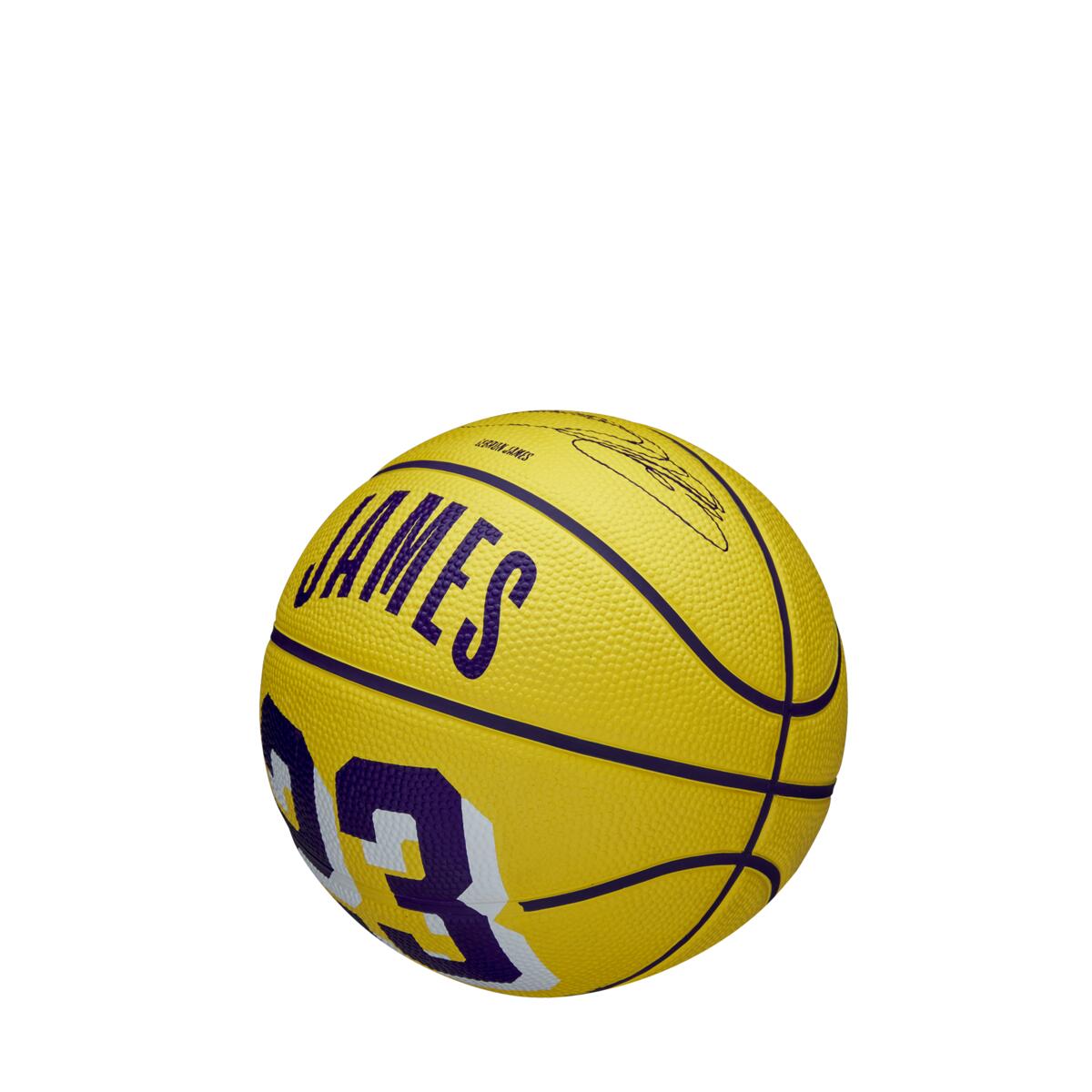 NBA Player Icon James Lebron