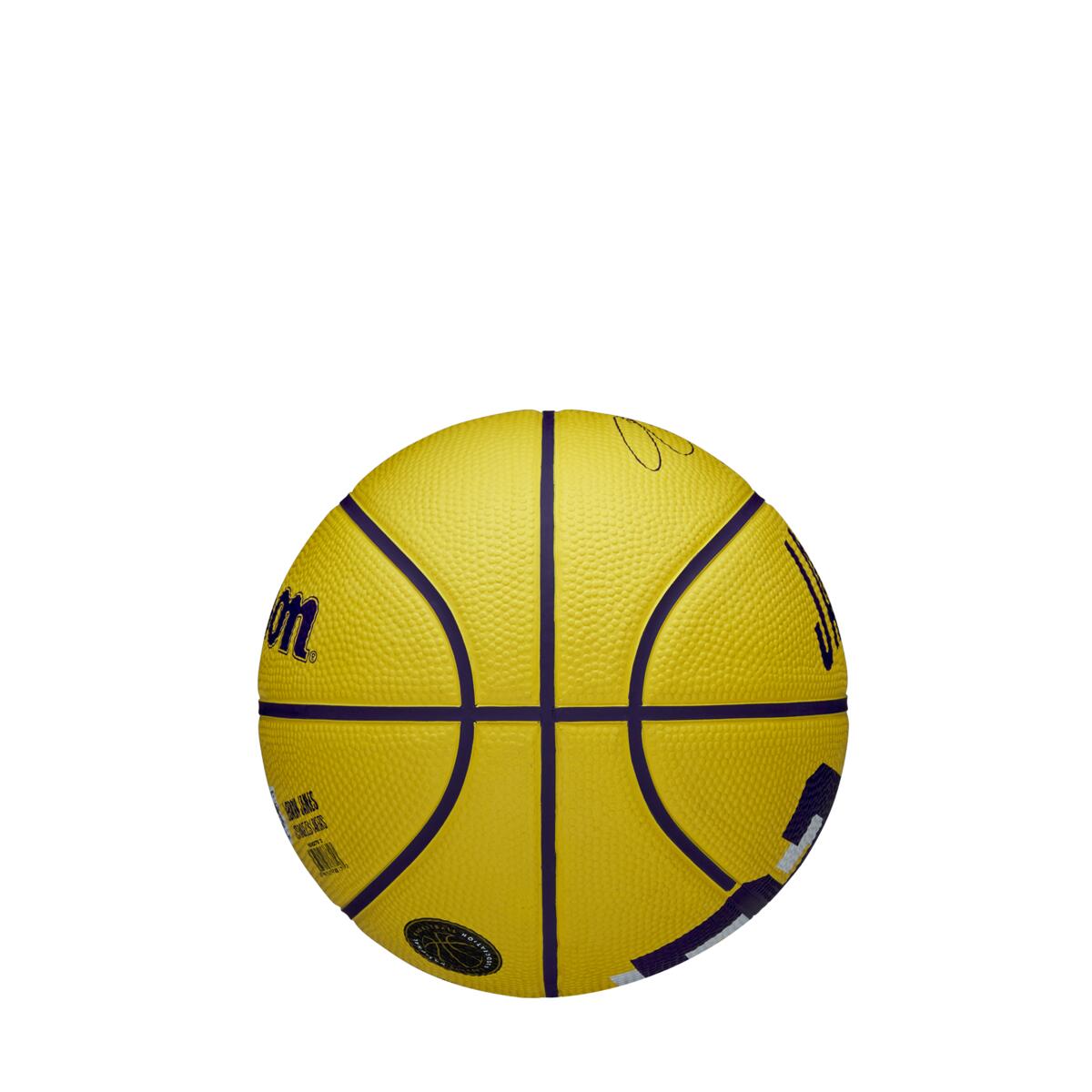 NBA Player Icon James Lebron