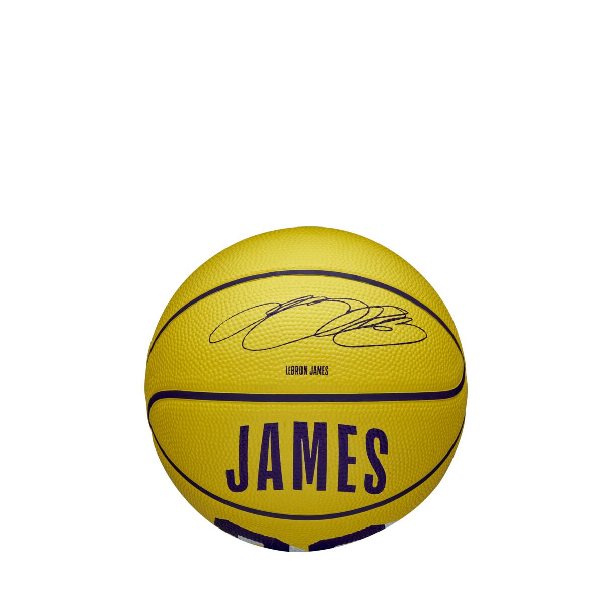 NBA Player Icon James Lebron