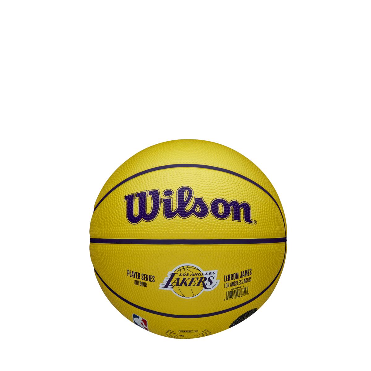 NBA Player Icon James Lebron