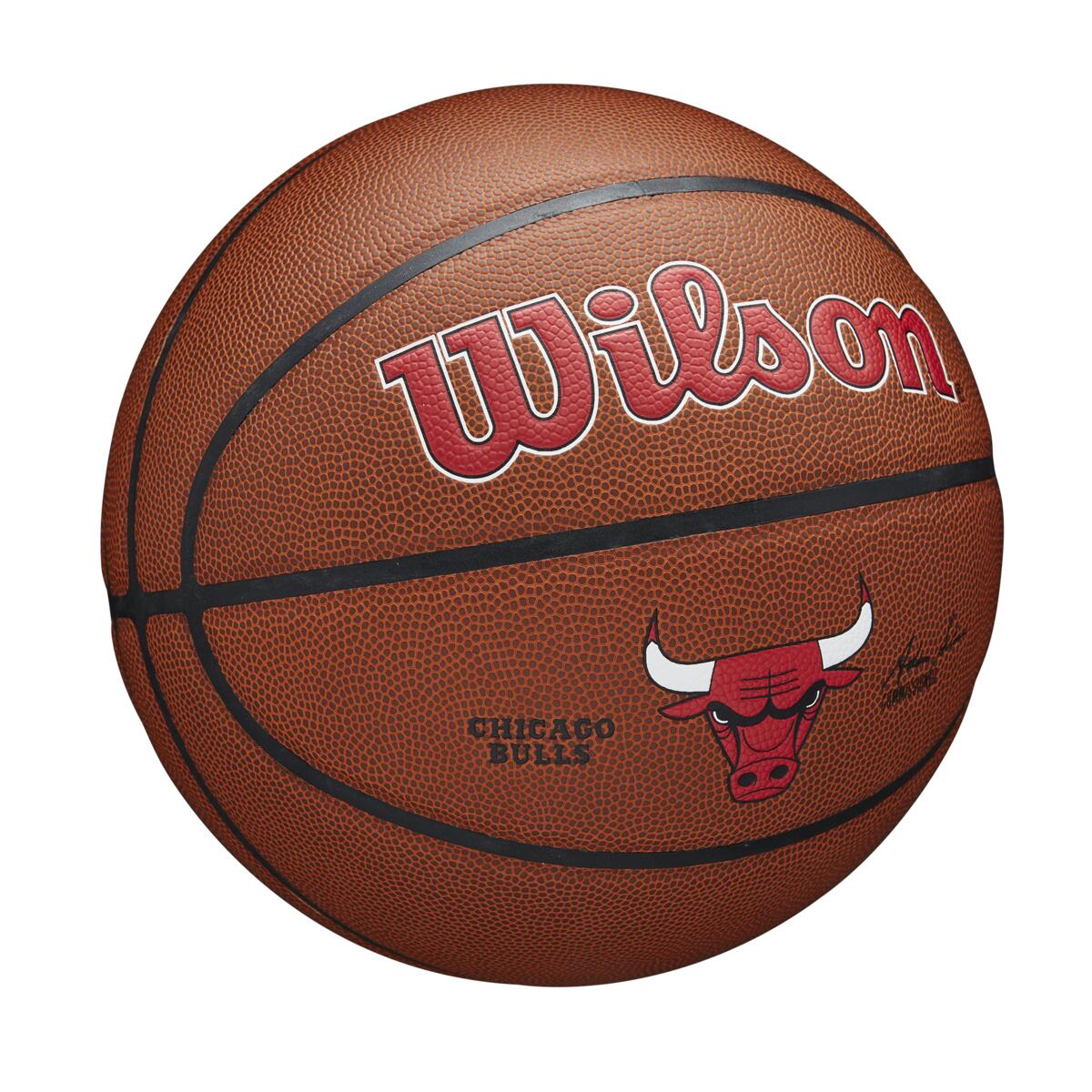 NBA Team Alliance Bulls 7