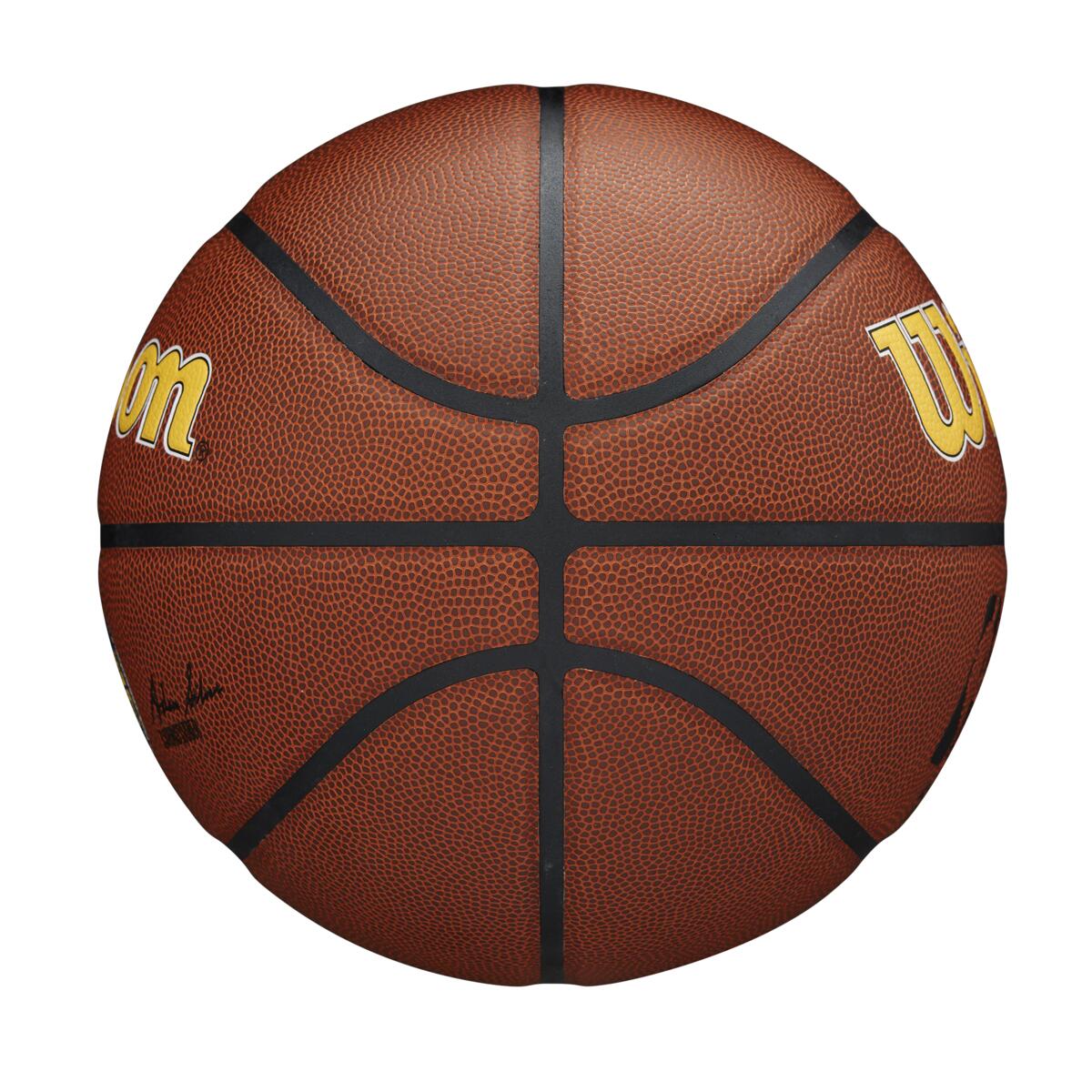 NBA Team Alliance Indiana Pacers 7