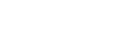 Wilson Logo