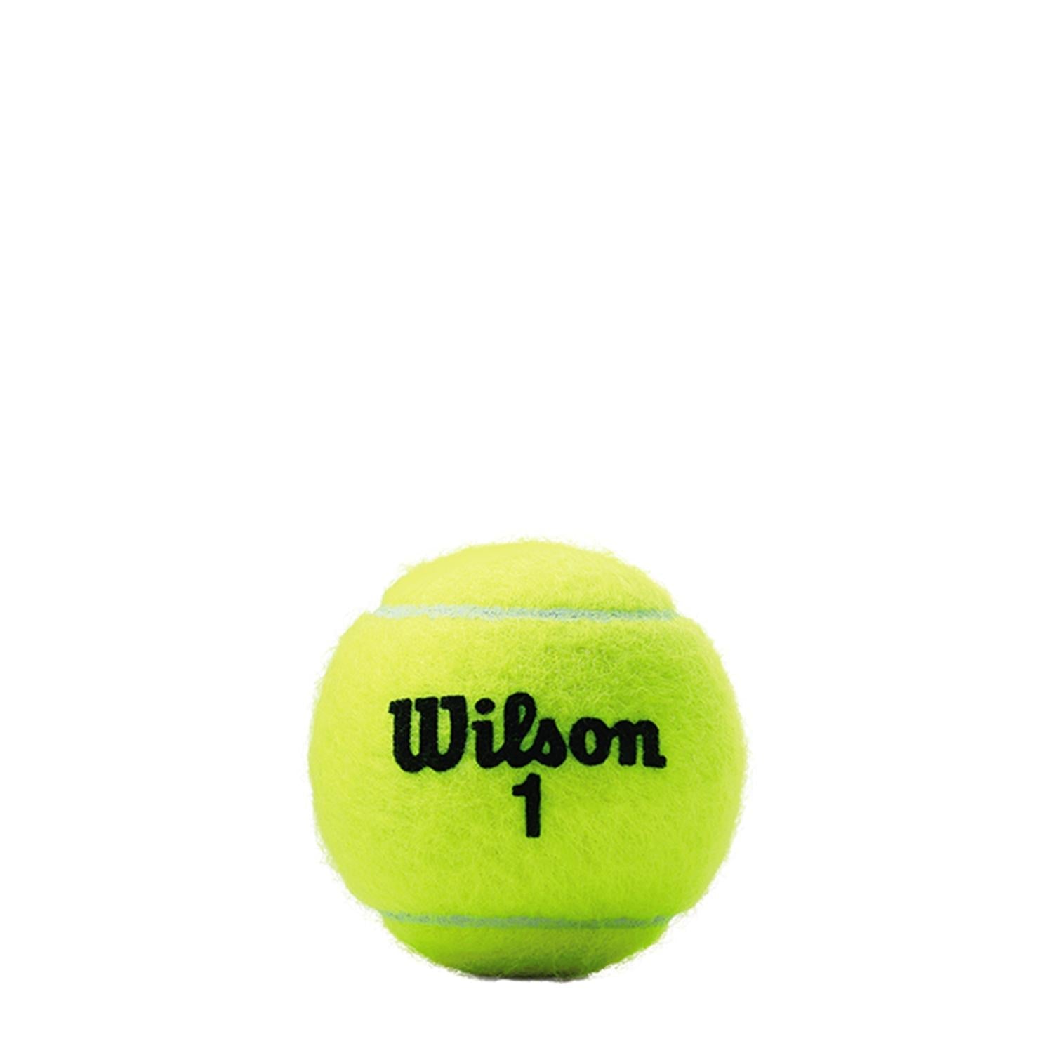 Pelota de Tenis Championship Extra Duty